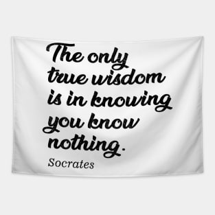The only true wisdom is in knowing you know nothing - socrates Tapestry