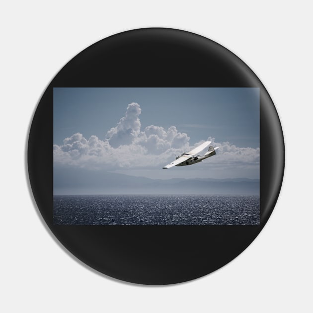 Catalina Pin by aviationart