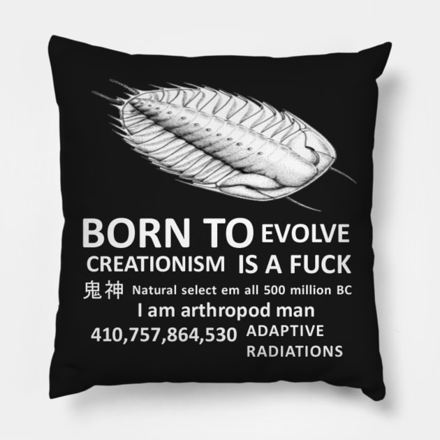 creationism is a fuck Pillow by stickerjock