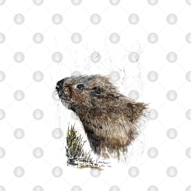 Watervole by jellygnomes