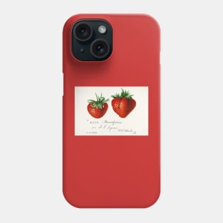 Strawberries Vintage Book Phone Case