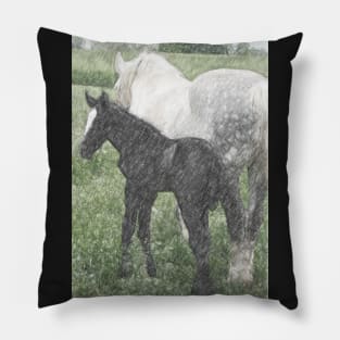 Percheron Colt And Mare In Pasture Digital Art Pillow