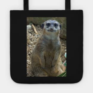 meerkat Tote