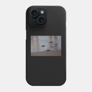 Hatchling III Phone Case