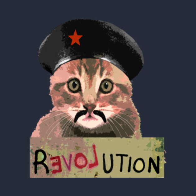 Image result for revolution kitten cartoon