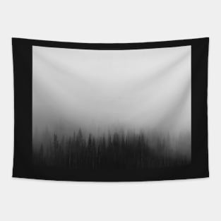 Minimal landscape in black and white. Forest Tapestry