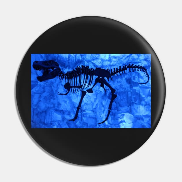 Frozen T Rex Pin by dltphoto