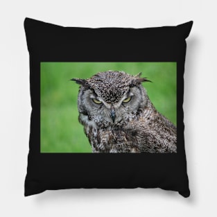 Great Horned Owl Pillow