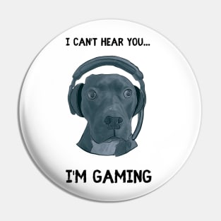 I can't hear you...I'm gaming Pin