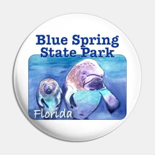 Blue Spring State Park, Florida Pin