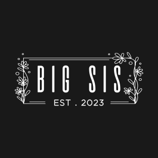 Big Sis Sibling Reveal Announcement T-Shirt