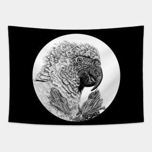 Blue-throated macaw circle Tapestry