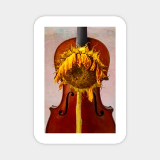 Weathered Sunflower And Old Violin Magnet