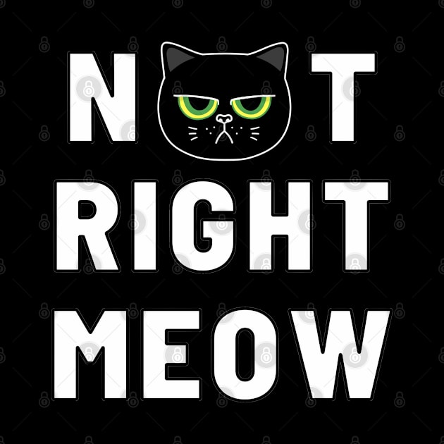 Not Right Meow (Black Cat) by agible