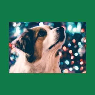 Australian Shepherd — Merry Christmas T-Shirt