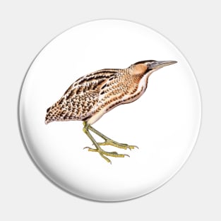 Eurasian Bittern Pin