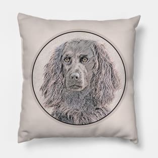 Boykin Spaniel Pillow