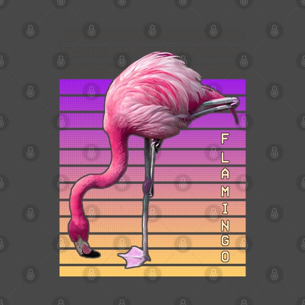 pinky flamingo by dwalikur