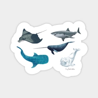 Marine animals Magnet