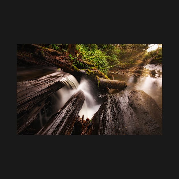Secret Waterfall in the Forest by JeffreySchwartz