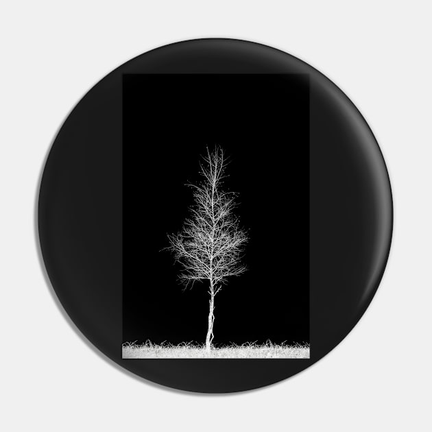 Lone Tree Pin by David Lichtneker