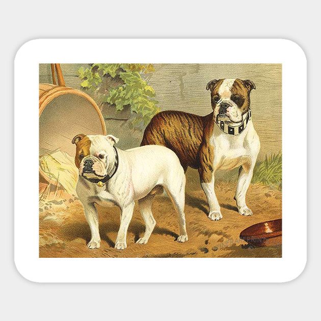 Vintage Painting Of English Bulldogs English Bulldogs Painting
