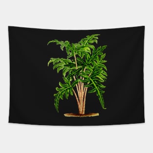 Alocasia portei botanical illustration Tapestry