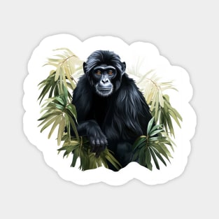 Siamang Magnet