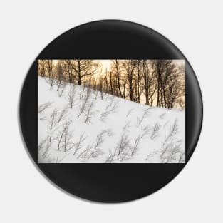 Arctic forest Pin