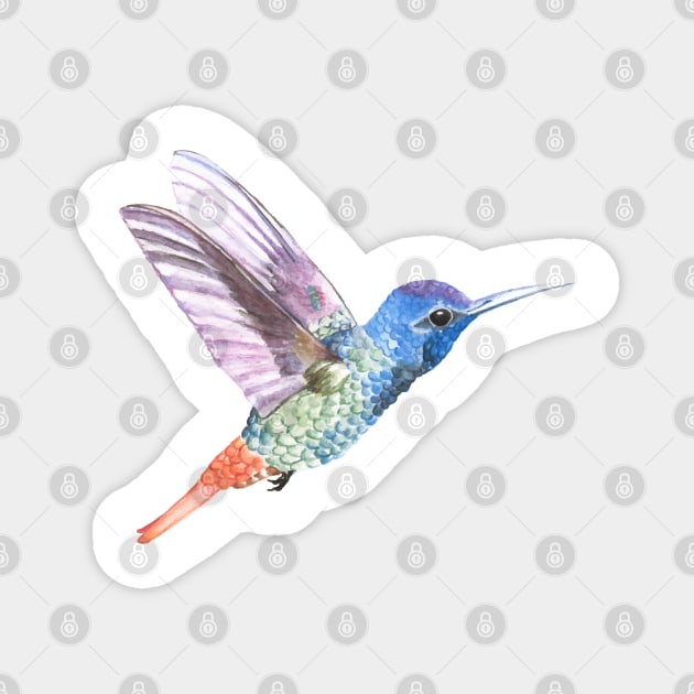 Bird Magnet by lanishop