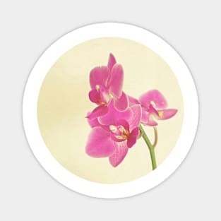 Pink Orchid Magnet