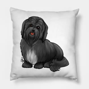 Dog - Havanese Dog - Black Pillow