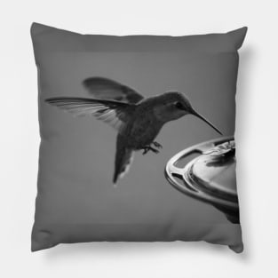 Hummingbird at Feeder Black and White 2 or 3 Pillow