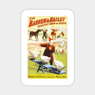 THE BARNUM & BAILEY CIRCUS Wonderful Performing Geese Roosters and Musical Donkeys Magnet