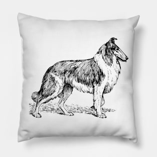 Collie Pillow