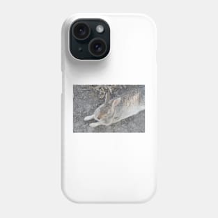 Rabbit, Desert Cottontail, Wildlife Phone Case