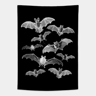 Flying Bats Tapestry