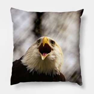 American Patriotic Eagle Pillow