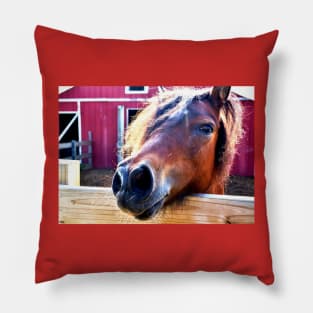 Pony Pillow