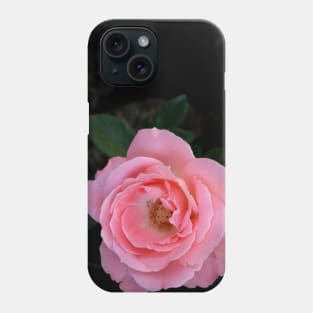 Bright pink rose blossom on dark green black background Phone Case