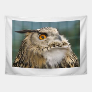 Eagle Owl Portrait Tapestry