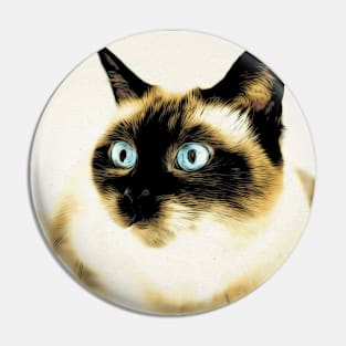 Siam cat / Maléa is looking for the goblin - children's book WolfArt Pin