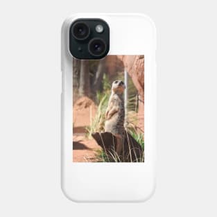 Meerkat Phone Case