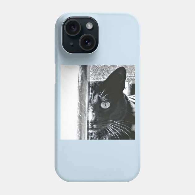 PHOTOGRAPHY CAT BLACK Phone Case by CATUNIVERSE