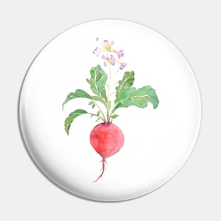 red  radish watercolor Pin