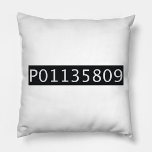 Inmate Number P01135809 Pillow