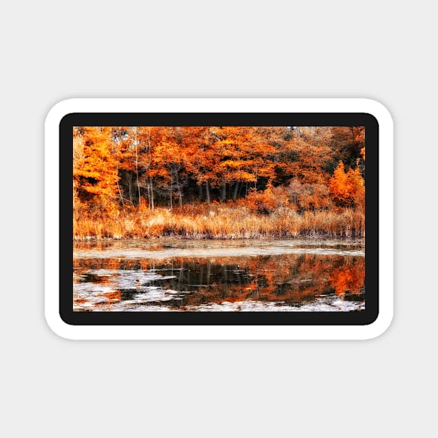 Autumnal Equinox Magnet by photoclique