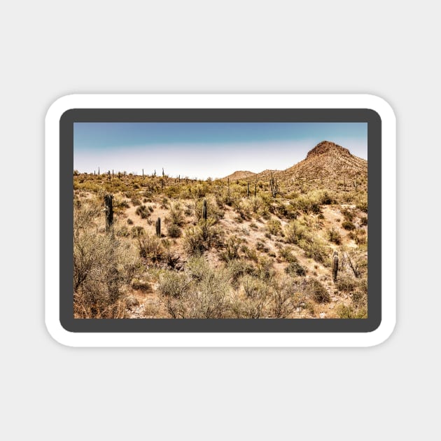 Apache Trail Scenic Drive View Magnet by Gestalt Imagery