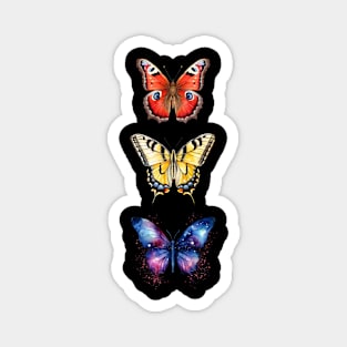 Free Butterfly Magnet