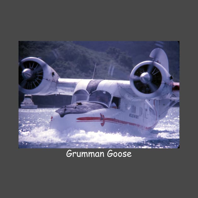 Grumman Goose Seaplane by CHBB